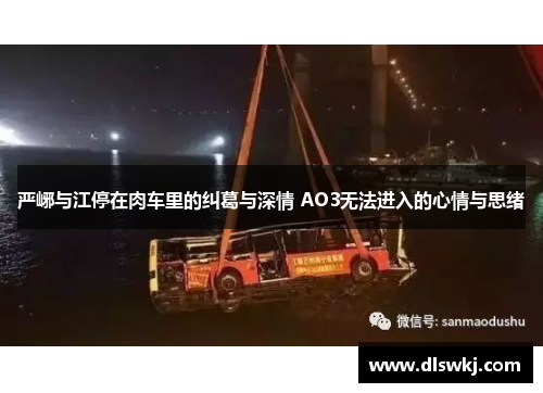 严峫与江停在肉车里的纠葛与深情 AO3无法进入的心情与思绪