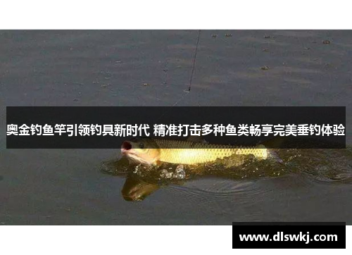 奥金钓鱼竿引领钓具新时代 精准打击多种鱼类畅享完美垂钓体验